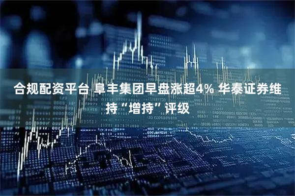 合规配资平台 阜丰集团早盘涨超4% 华泰证券维持“增持”评级