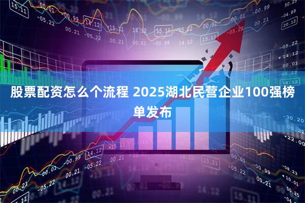 股票配资怎么个流程 2025湖北民营企业100强榜单发布
