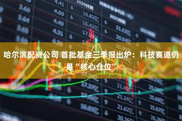 哈尔滨配资公司 首批基金三季报出炉：科技赛道仍是“核心仓位”