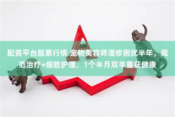 配资平台股票行情 宠物美容师湿疹困扰半年，规范治疗+细致护理，1个半月双手重获健康
