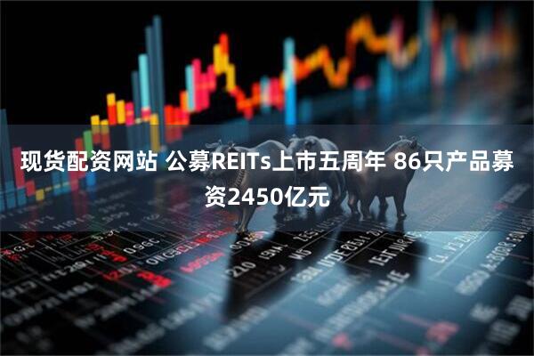 现货配资网站 公募REITs上市五周年 86只产品募资2450亿元